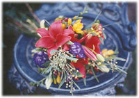 Calluna Fine Flowers